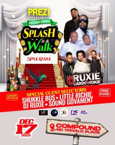 Prezi - Splash it and Walk Birthday Brunch